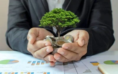 Proyecto de Ley Crea y Crece: Novedades a introducir tras su aprobación